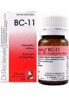 Dr. Reckeweg Homeopathy BC11 - 200 Tablets