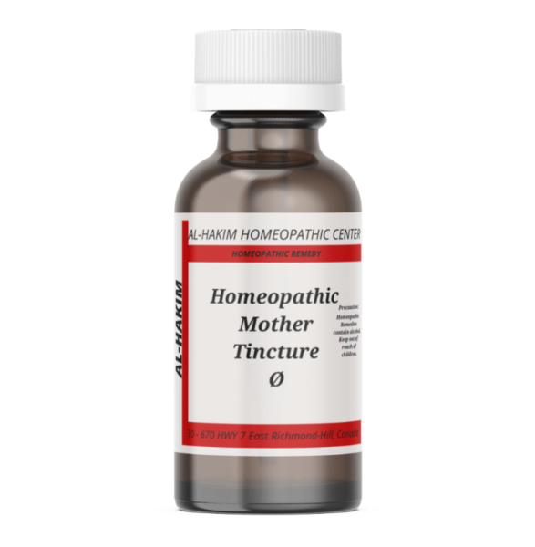 Plantago Major - Homeopathic Mother Tincture Ø 30 ml